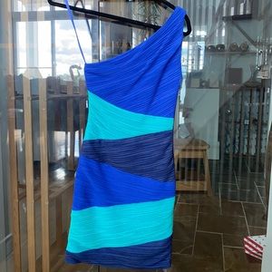 Bcbgmaxazria dress